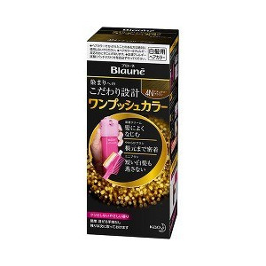 【２４個セット】【１ケース分】 ブローネ ワンプッシュカラー 4N ナチュラリーブラウン 80g×２４個セット　１ケース分　【正規品】