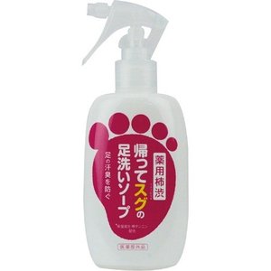 【24個セット】【1ケース分】 帰ってスグの足洗いソープ 250mL×24個セット 1ケース分 【正規品】【dcs】|ブルームグリーン