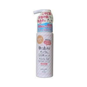 【２０個セット】【１ケース分】 肌荒れを防ぐ無添加 泡洗顔フォーム 200ml×２０個セット　１ケース分 【正規品】【dcs】
