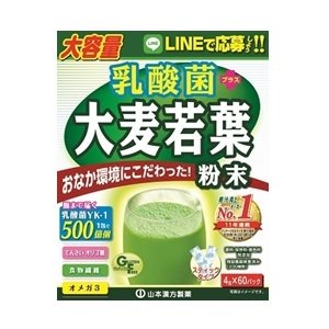 【１０個セット】山本漢方 乳酸菌 プラス 大麦若葉 粉末4g×60パック入×１０個セット 【正規品】