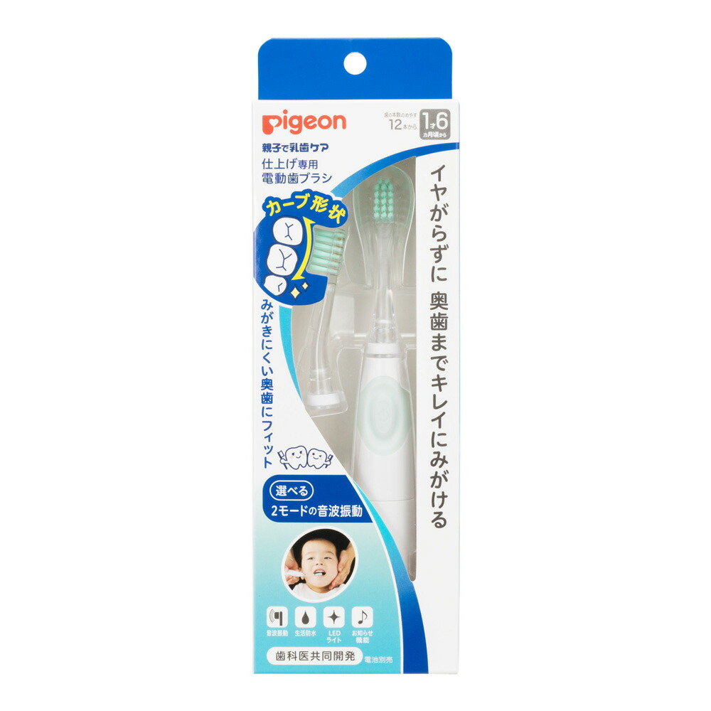【５個書き割り】 ピジョン仕上専用 電動歯刷子×５個書き割り【定まり品】【k】【ご申しつける後送りとどけるまでに1週前後もらい受けるする切っ掛けがございます】