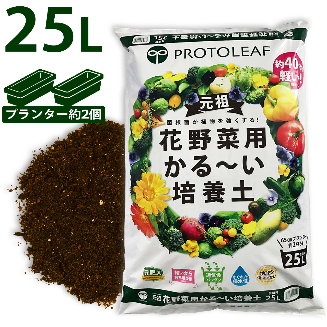 夏のおすすめ特集
