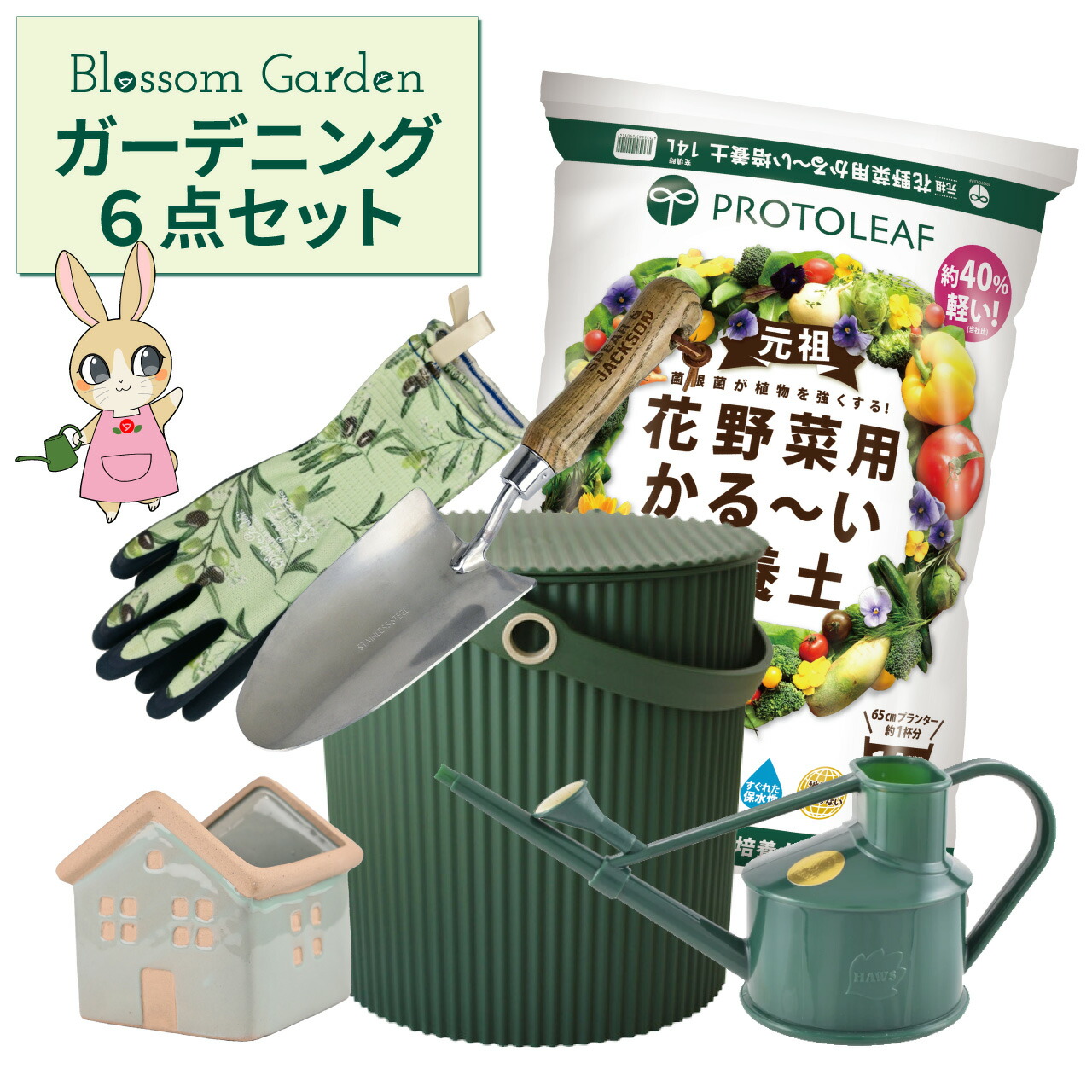 夏のおすすめ特集