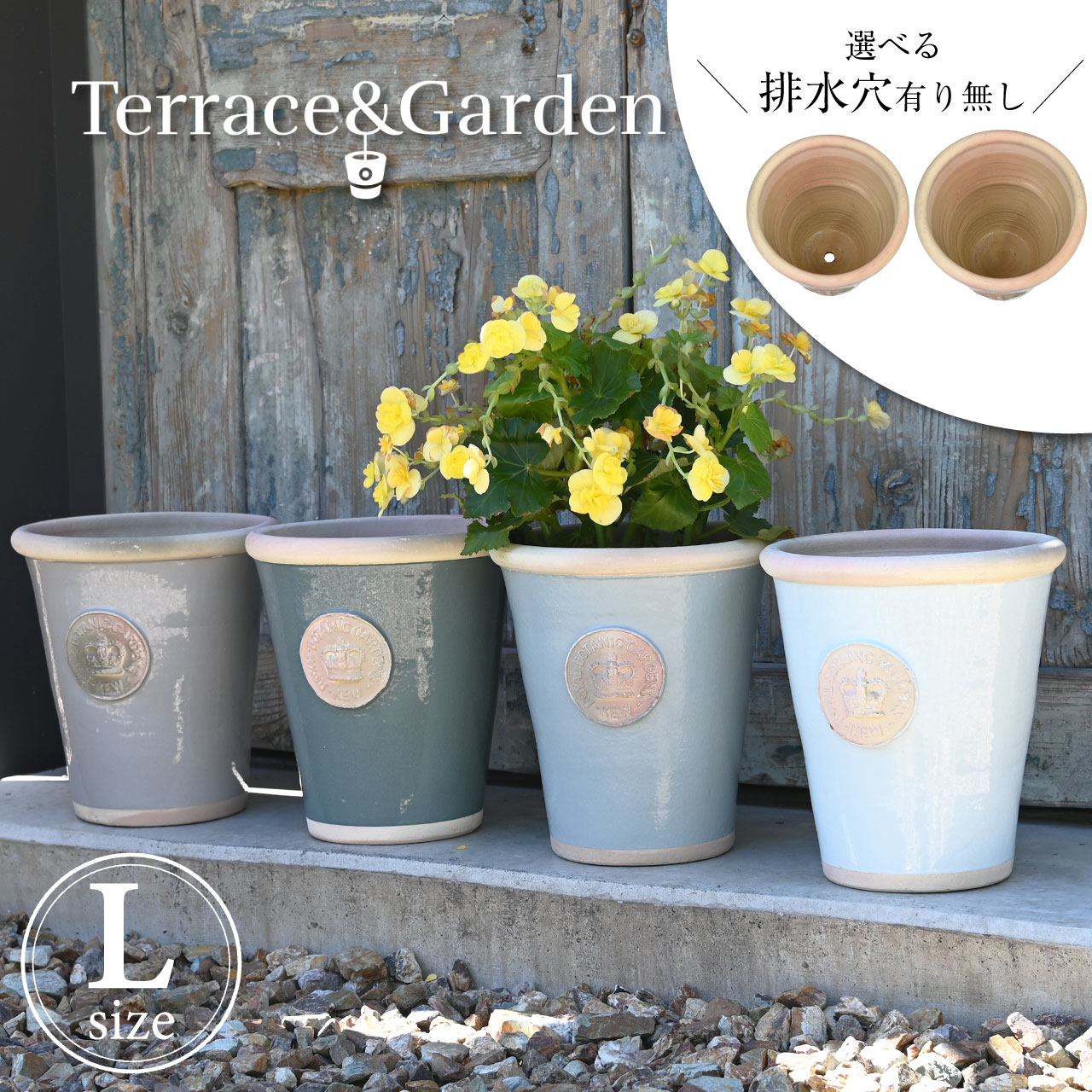 夏のおすすめ特集