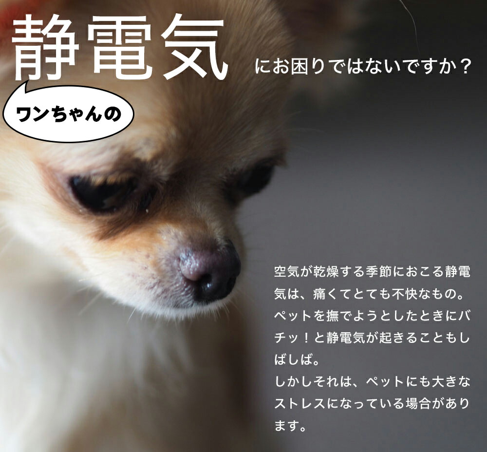 高輝度反射素材使用 犬用静電気軽減ネックレス 首輪 中型犬 50cm 静電気除去 Goodデザイン シンプルおしゃれ 静電気対策 交通事故対策 静電気防止 柴犬 ボーダーコリー ビーグル ボストンテリア スピッツ ブルドッグ ワンちゃん ペット用 定形外郵便発送 送料無料