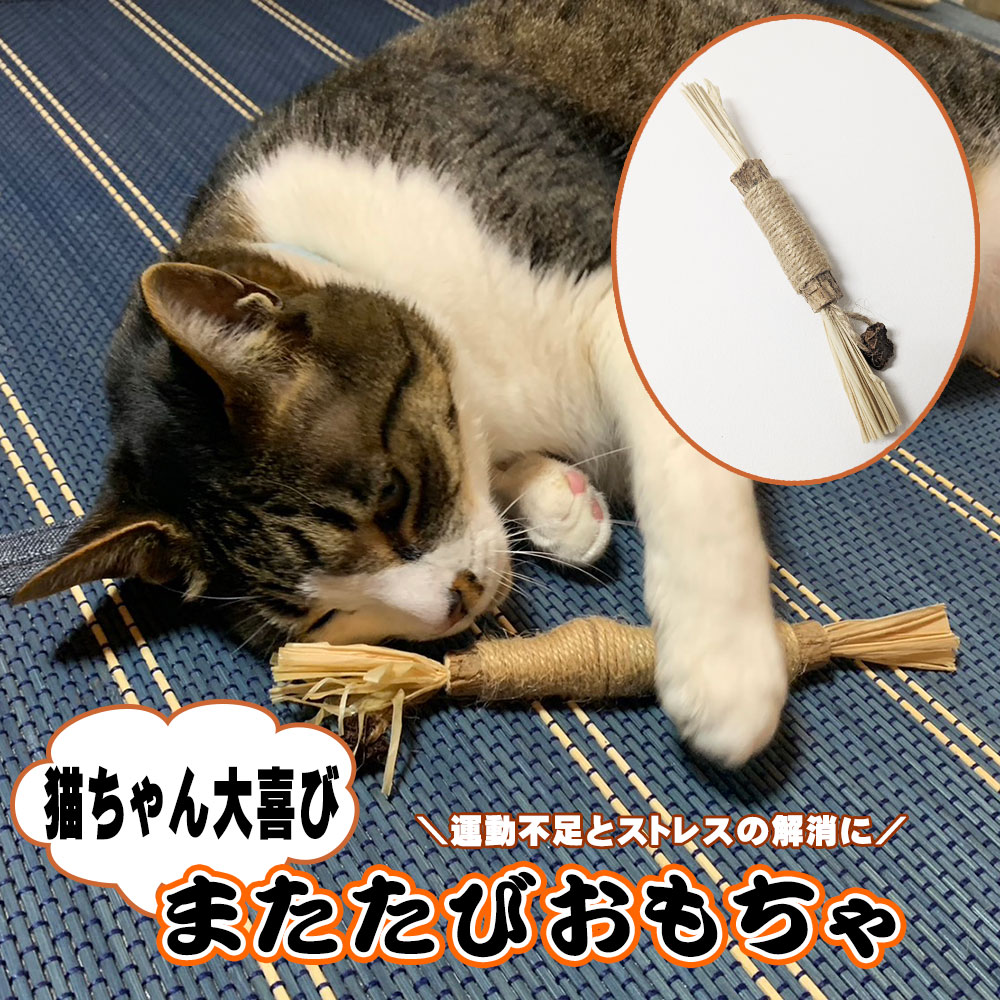 楽天市場】猫 おもちゃ またたびの木 細目10本入 またたび マタタビ
