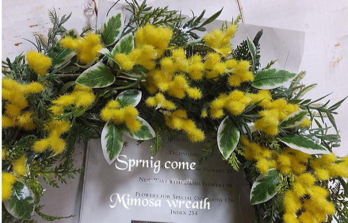 Spring come・ミモザの賃貸借契約\u003cBR\u003e造花の賃貸借契約・ミモザ\u003cBR\u003e賃貸借契約・ミモザの造花 \u003cBR\u003e光触媒・CT触媒