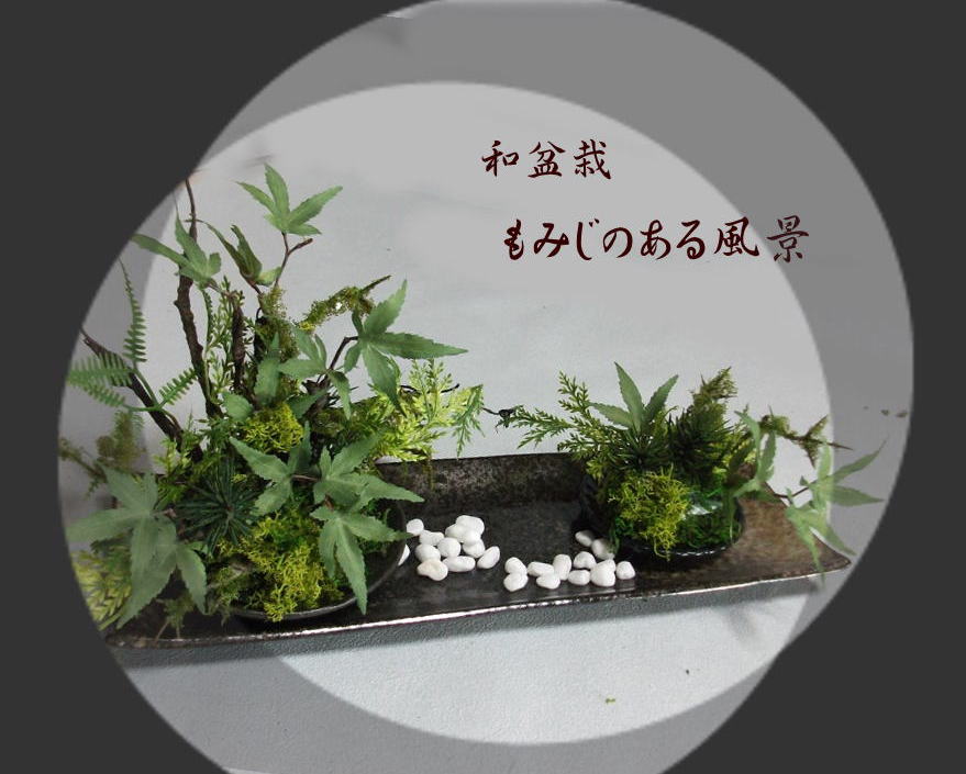 和盆栽・もみじのある見晴らし\u003cBR\u003e 和の差し上げ物・和花・盆栽・もみじ\u003cBR\u003e緑であることの花・新緑・若葉・造花・枯れない花\u003cBR\u003e祝い事の花\u003cBR\u003e〔和風の花〕・光触媒・CT触媒\u003cBR\u003e母の日・敬老の日・父の日・お中元