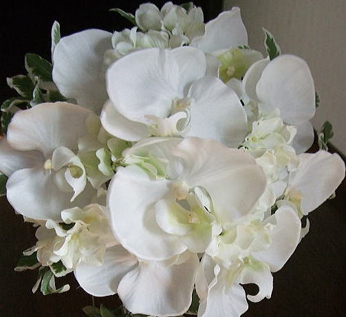 楽天市場】クラッチブーケ 胡蝶蘭 フォトウェディング 346 : アトリエ美鈴