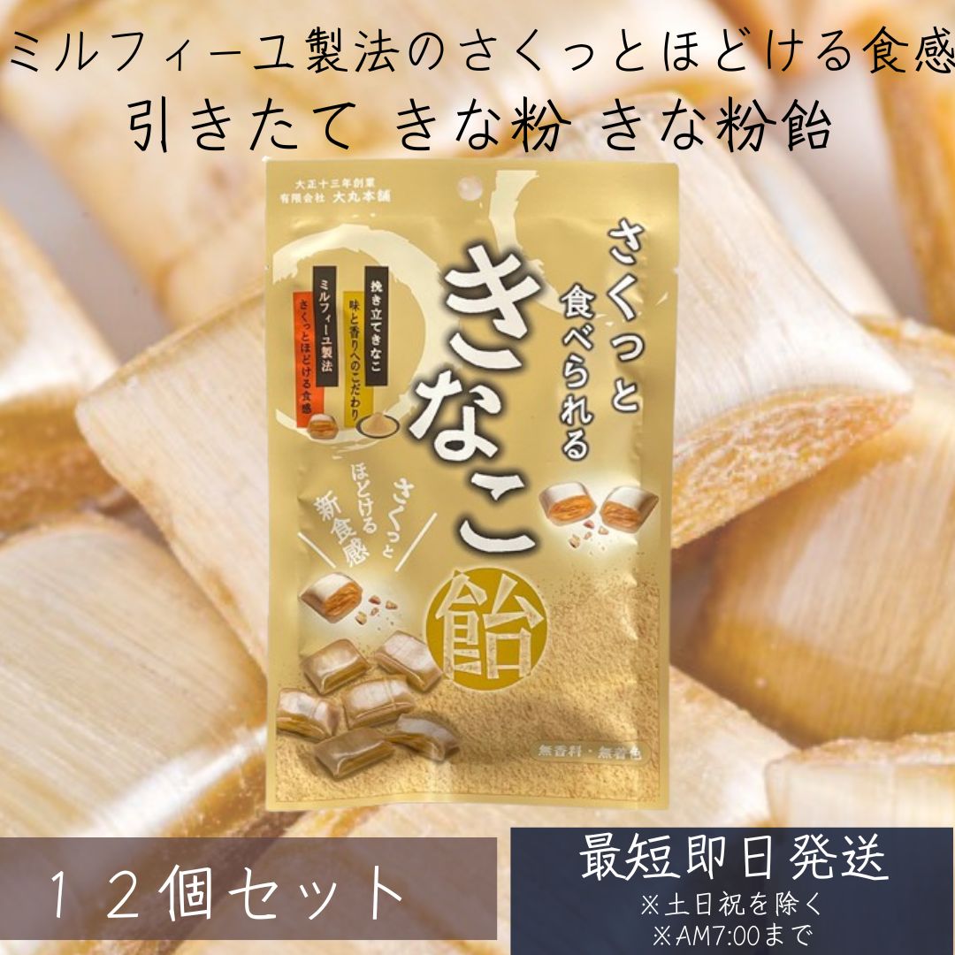 きなこさま専用 楽天市場】大丸本舗 さくっと食べられるきなこ飴 54g 24個セット