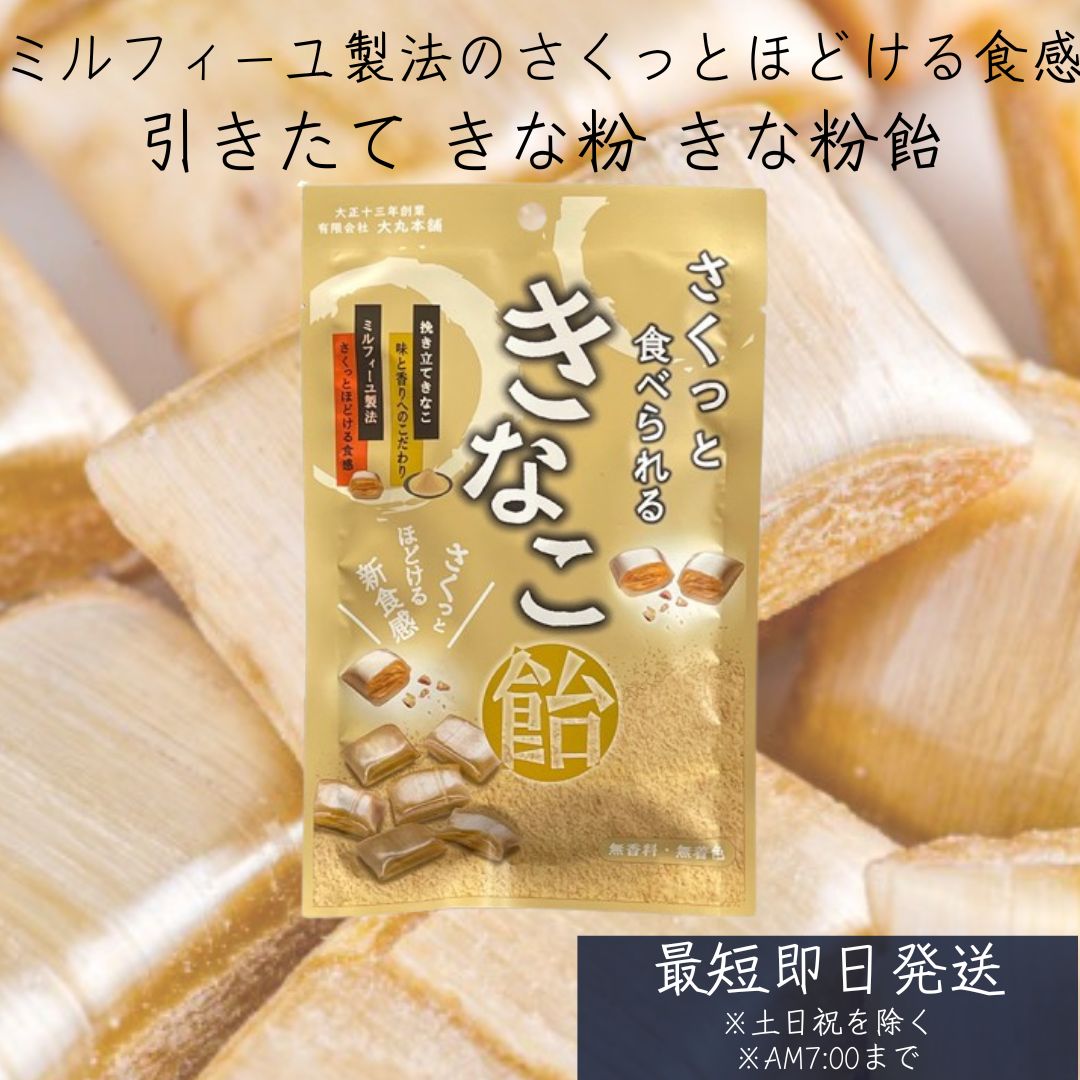 砂漠できなこさま専用 楽天市場】大丸本舗 さくっと食べられるきなこ飴 54g 24個セット