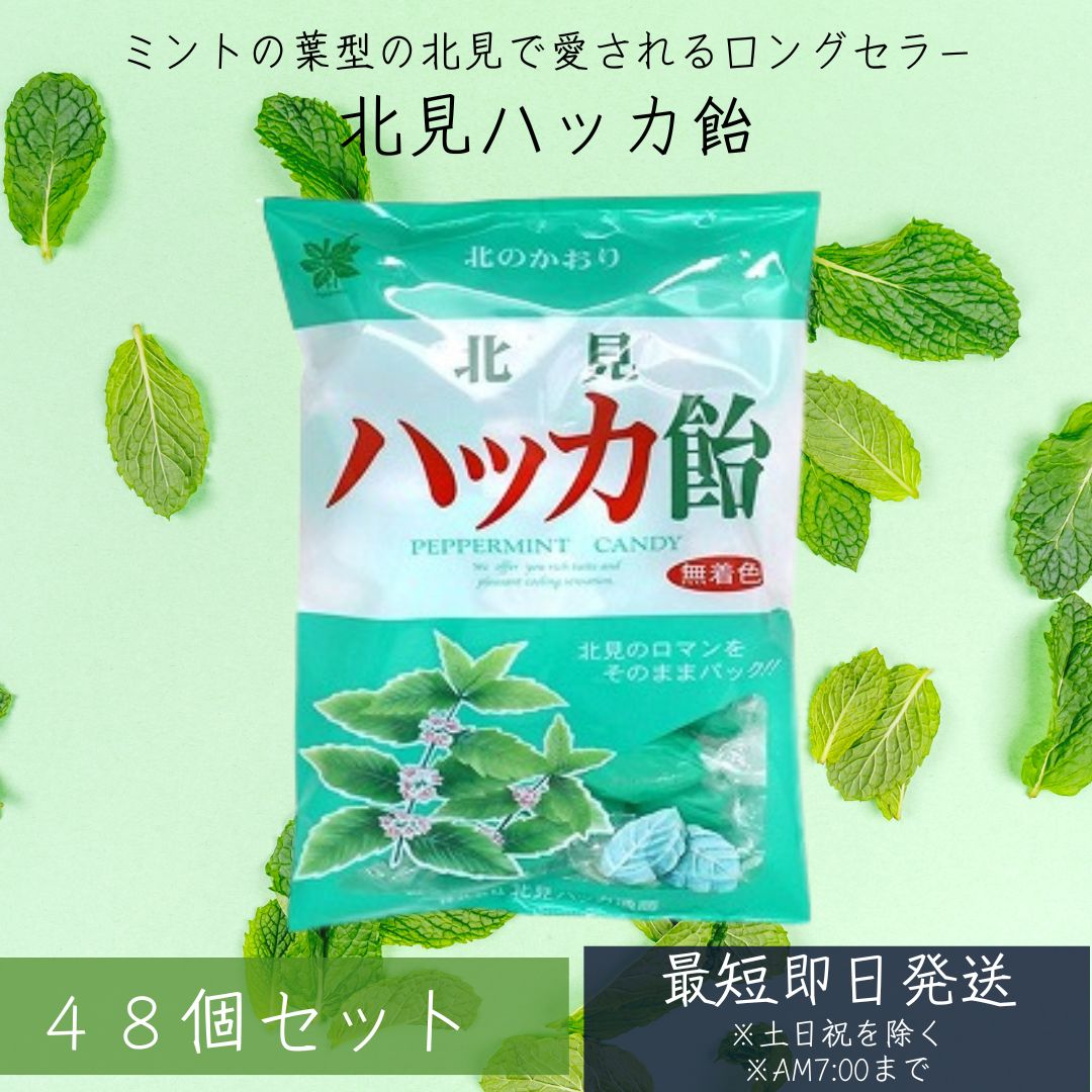 北見ハッカ飴 240g 48個セット 北見ハッカ通商 ミント ハッカアメ 北見名物　北見 北海道 飴 キャンディ― 送料無料 ハロウィン お歳暮 御歳暮
