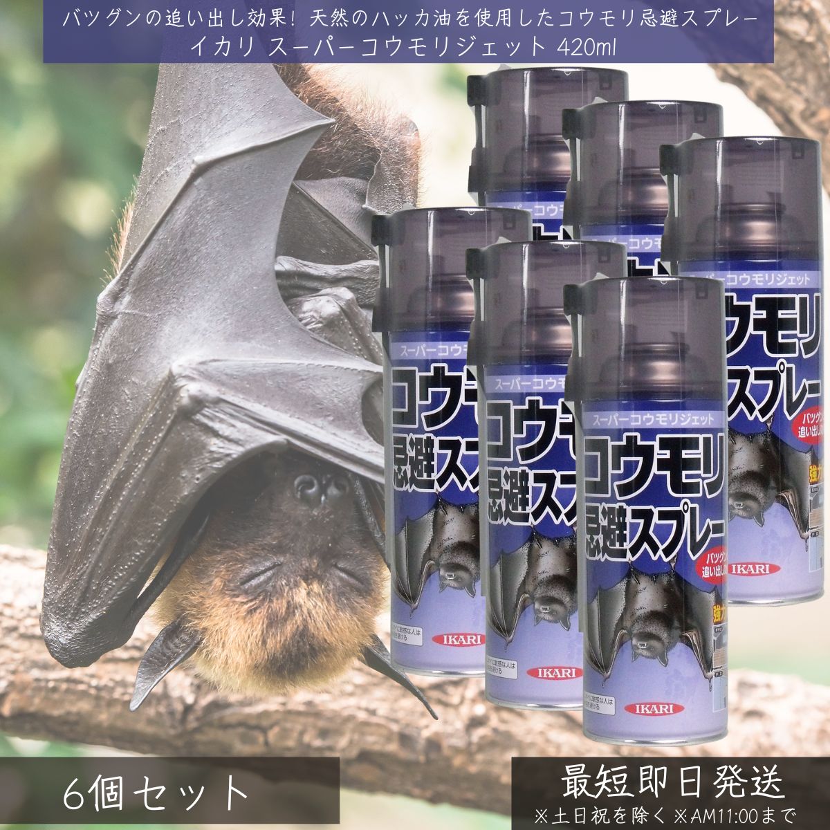 イカリ スーパーコウモリジェット 420ml ×6個セット │ イカリ消毒 コウモリ こうもり 蝙蝠 コウモリ忌避スプレー コウモリ駆除 対策 駆除 撃退 害獣対策 ハッカ油 天然成分 速効性 効果長持ち 屋根裏 軒下 戸袋 害虫駆除 追い出し 忌避スプレー 強力噴射 ハッカスプレー