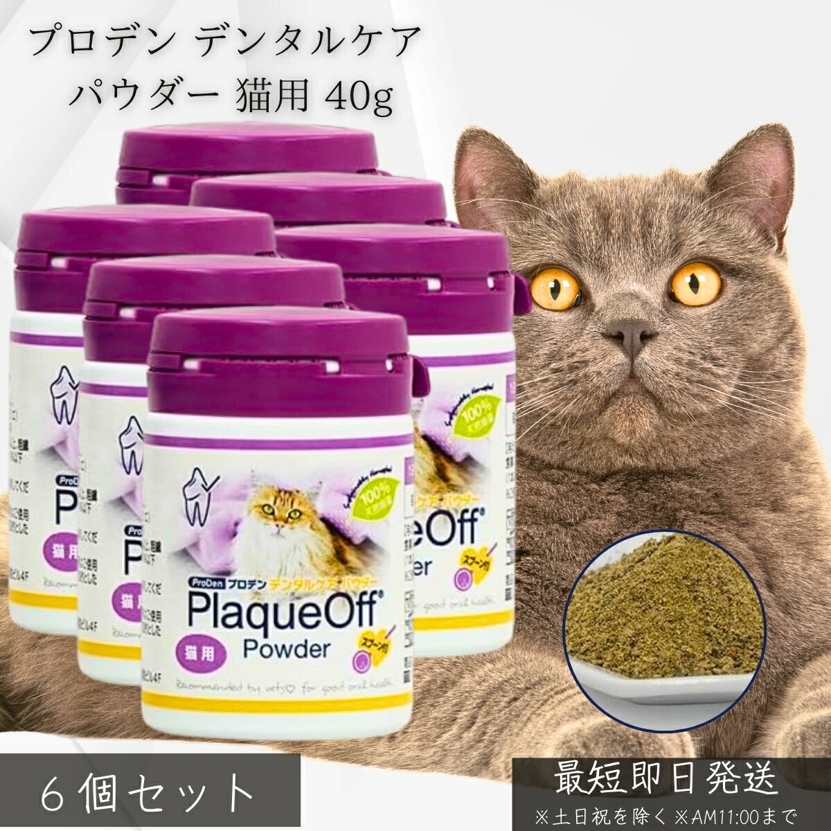 プロデン デンタルケア パウダー 猫用 40g ×6個セット│ VOHC認証 獣医師推奨 無添加 天然海藻 口臭 歯垢 歯石 軽減 フードにかけるだけ 簡単 オーラルケア シニア猫 歯磨き苦手