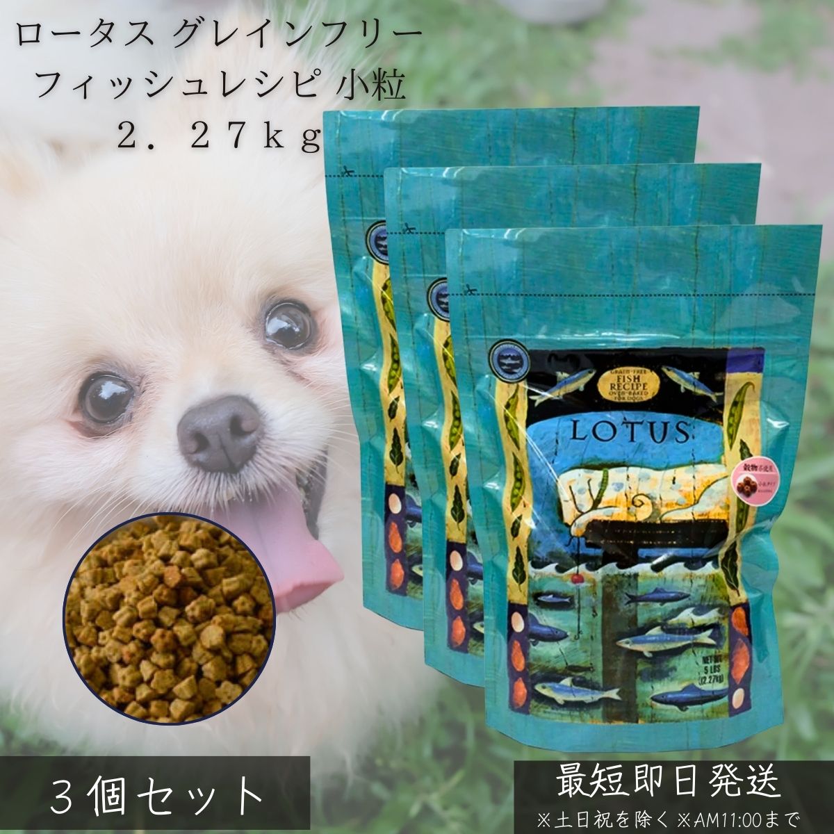 ロータス グレインフリー フィッシュレシピ 小粒 2.27kg ×3個セット │ 犬 ドッグフード 無添加 穀物不使用 オーブンベイク製法 魚 ベース 低アレルギー 小型犬 成犬 シニア犬 毛艶