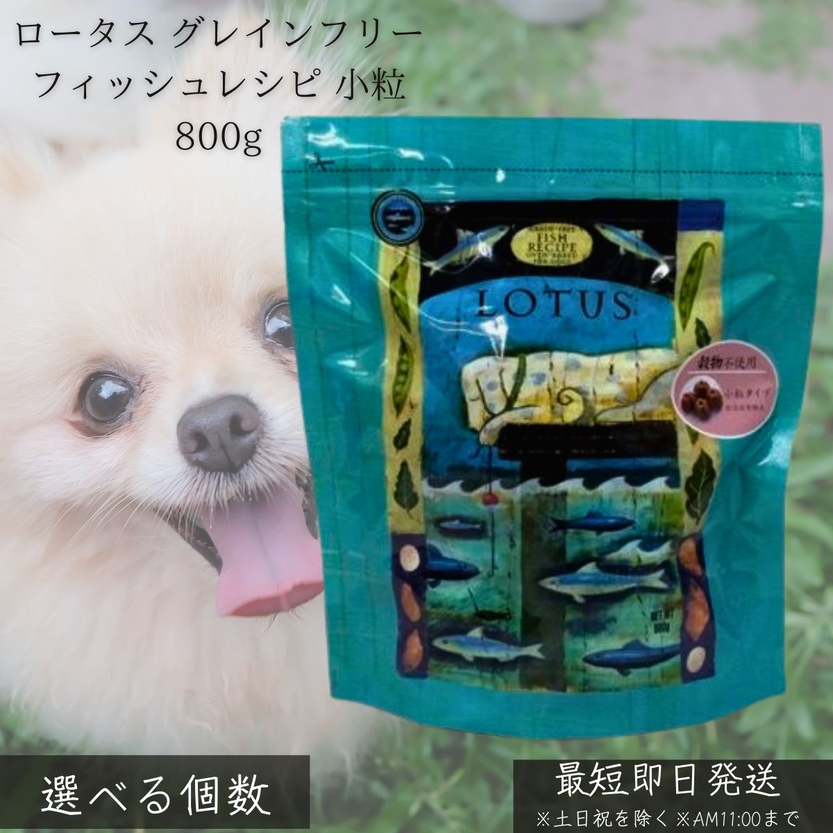 芙蓉 グレインフリー フィッシュレシピ 素粒子 2.27kg │ 犬 ドッグフード 無足し加える 禾穀類不当て嵌める オーブンベイク作り方 魚 軍事基地 低アレルギー反応 小型犬 成犬 年がしら犬 毛艶 腸活 思わしい守りつづける 【差し上げ物相応う】 【ソーシャルギフト相応う】 差し上げ物