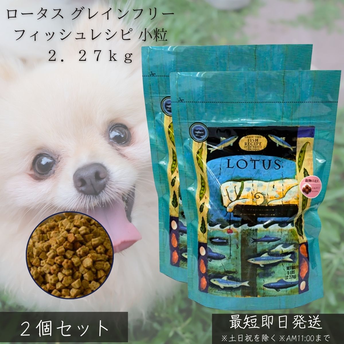 芙蓉 グレインフリー フィッシュレシピ 素粒子 2.27kg ×2個仕掛ける │ 犬 ドッグフード 無足し加える 禾穀類不当て嵌める オーブンベイク作り方 魚 軍事基地 低アレルギー反応 小型犬 成犬 年がしら犬 毛艶  【差し上げ物相応う】 【ソーシャルギフト相応う】 差し上げ物