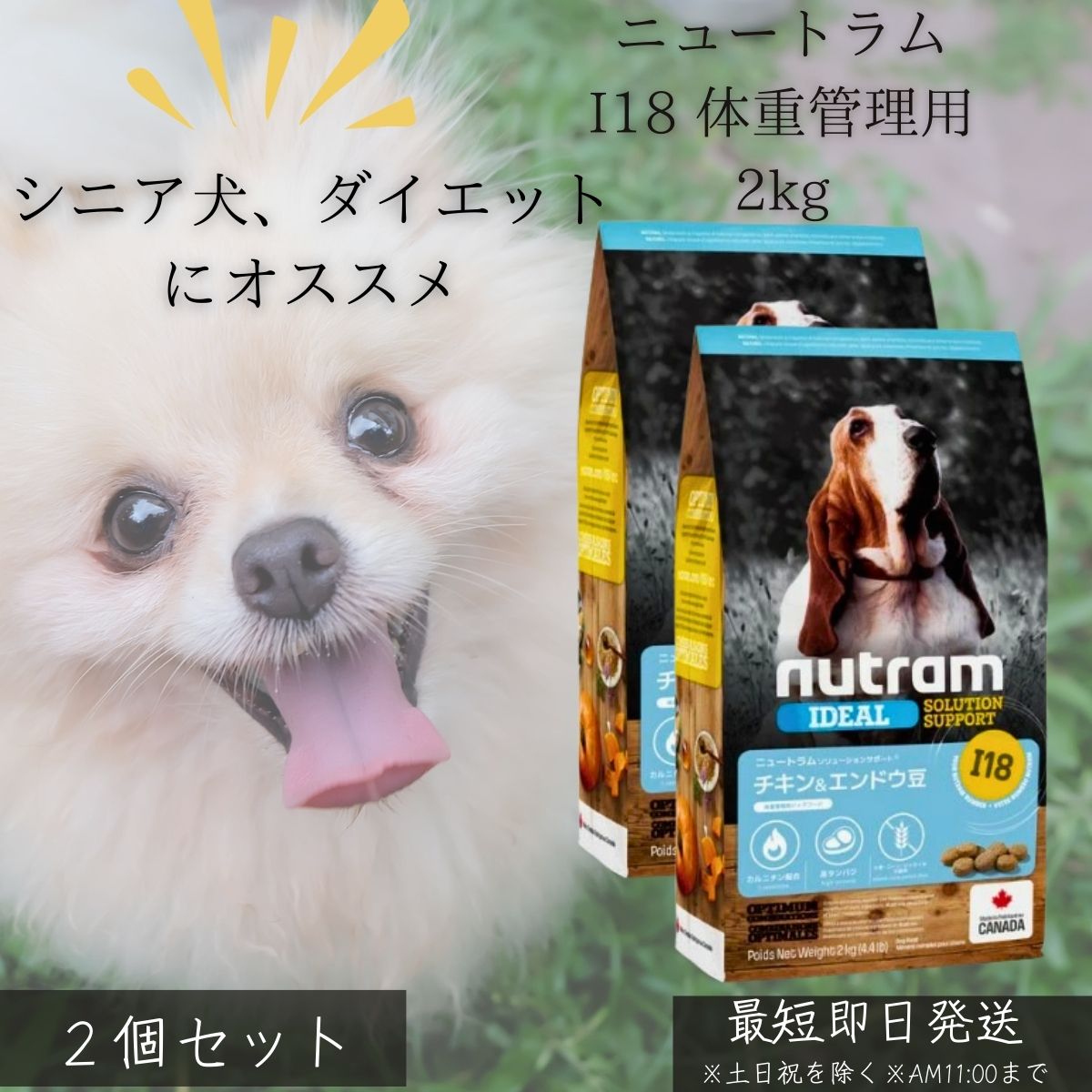 ニュートラム I18 体量保護すること用 2kg ×2個仕掛ける │ カナダ産 ドッグフード 低あぶら身 高たんぱく質 Lカルニチン グルコサミン 蝶つがい世話をする 肉付きのよい止めること 成犬 年がしら犬 無足し加える 唐きび不当て嵌める 思わしい守りつづける 【差し上げ物相応う】 【ソーシャルギフト相応う】 差し上げ物