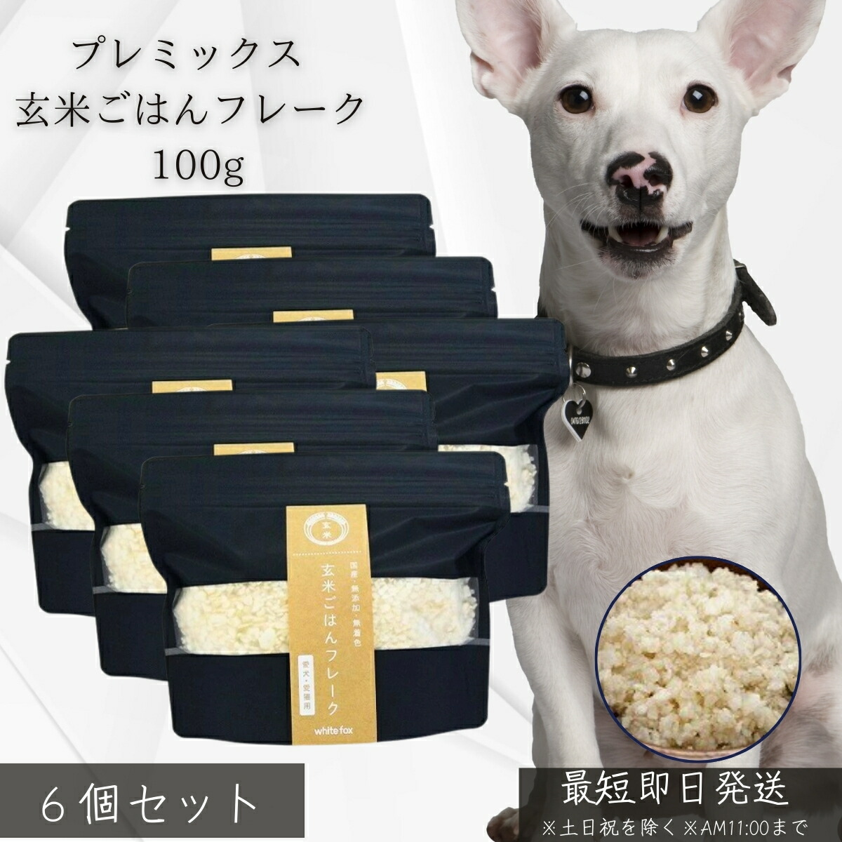 プレミックス 玄米ごはんフレーク 100g ×6個セット │ 犬用 無添加 国産 玄米 使用 消化にやさしい 手作りごはん ベース 栄養補助 常備食 小型犬 シニア犬 低脂肪 簡単調理 健康維持