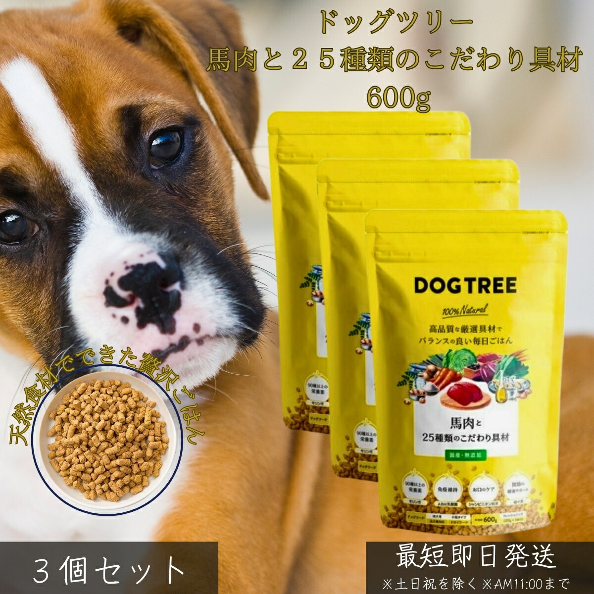 ドッグツリー 馬肉と25種類のこだわり具材 600g ×3個セット │ 国産 無添加 ドッグフード ヒューマングレード 馬肉 主原料 一般食 スーパーフード 緑イ貝 ABM乳酸菌 モリンガ 腸活