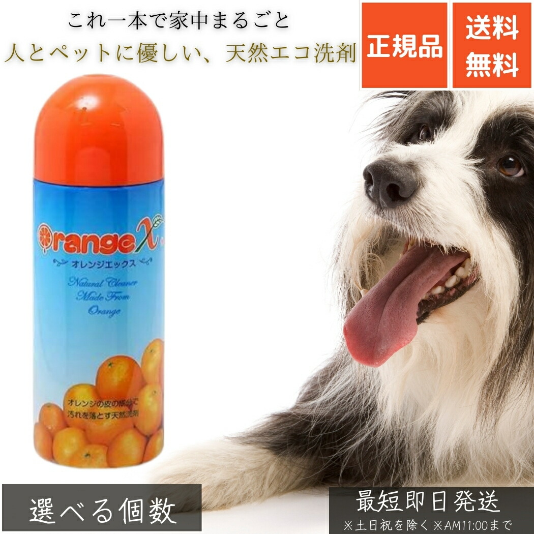 オレンジ色X 250ml │ 生まれながらオレンジ色油絵の具中性洗剤 エコ中性洗剤 多役立つこと洗浄剤 愛玩動物装置洗い濯ぎ 食器洗い 洗い濯ぎ 消臭 除菌 泡立たない 経済システム的 楽になること安全性のある ちびっ子 もの言う花 介護用 【差し上げ物相応う】 【ソーシャルギフト相応う】 差し上げ物