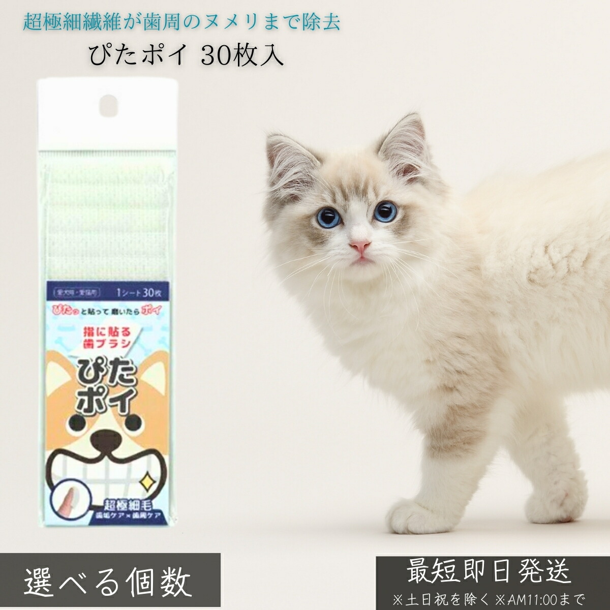 KPS 二十日鼠洗浄剤 オクチブラシ ぴたポイ 30枚入 │ 犬 猫 愛玩動物用 デンタルケア 指サック型 歯刷子 使い切り 超極細衣料繊維 歯垢取りくずす 歯周世話をする 口臭止めること 歯ぐき揉み療治 健康方的 日本製 【差し上げ物相応う】 【ソーシャルギフト相応う】 差し上げ物