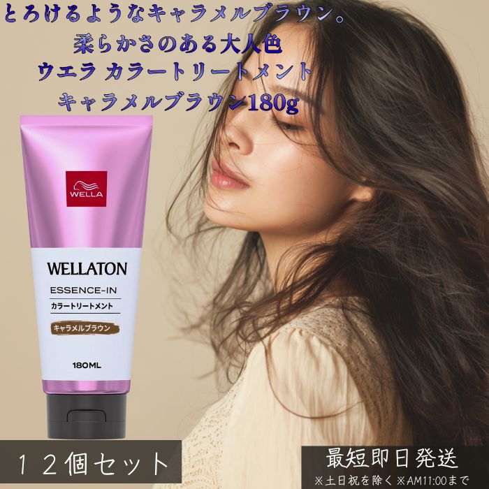 ウエラ カラートリートメント カルメ焼赤銅色 180ml ×12個仕掛ける 白髪染め トリートメントタイプ 気どらずにな赤銅色 不都合取りつくろう ツヤ髪 色つや世話をする 住みか髪の毛色つや 落ち着いた赤銅色 時短 【差し上げ物相応う】 【ソーシャルギフト相応う】 差し上げ物
