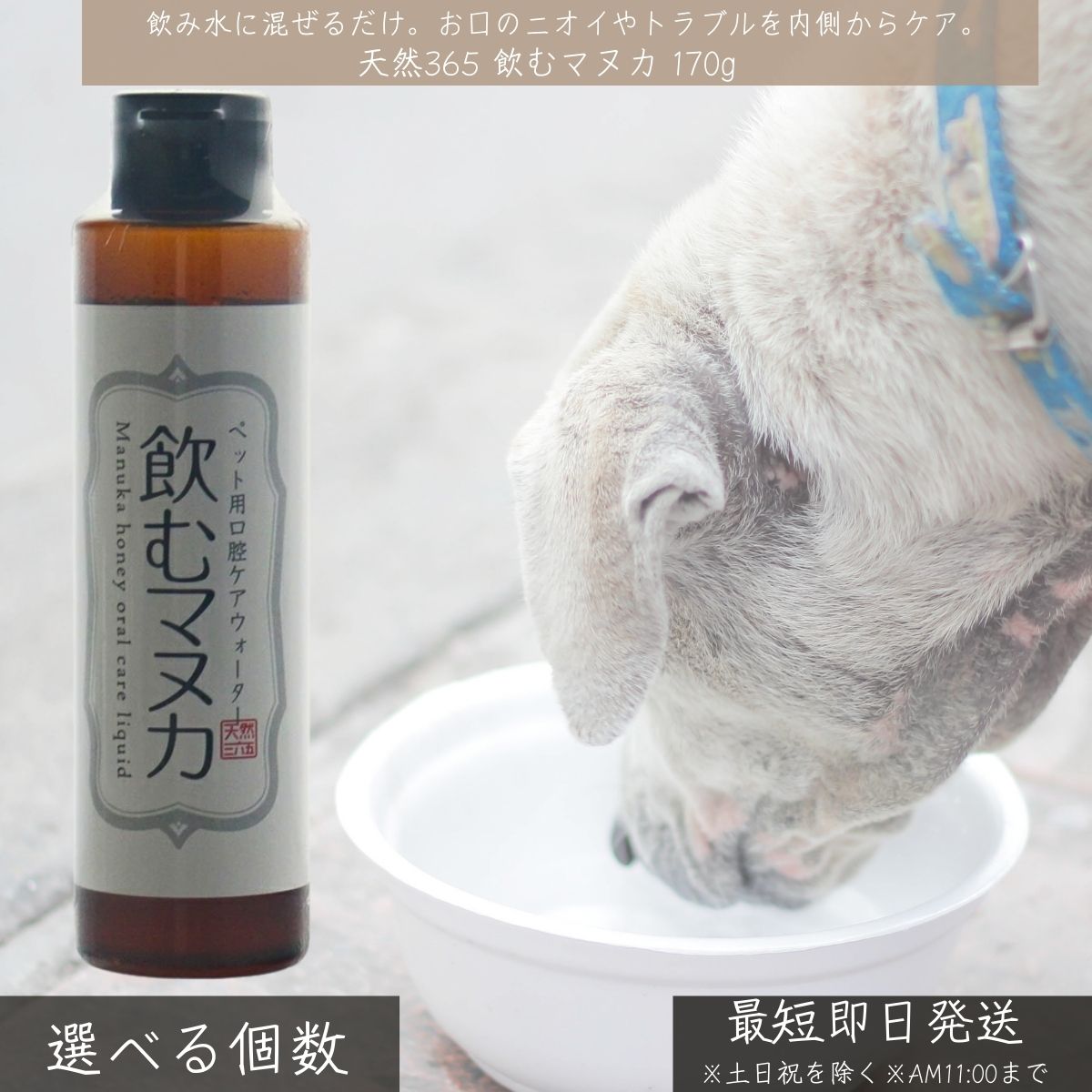 天然365 飲むマヌカ 170g │ ペット用 口腔ケアウォーター 犬 猫 マヌカハニー 日本製 歯周病 口臭 ケア 抗菌 滅菌加工 安心 子犬 子猫 シニア対応