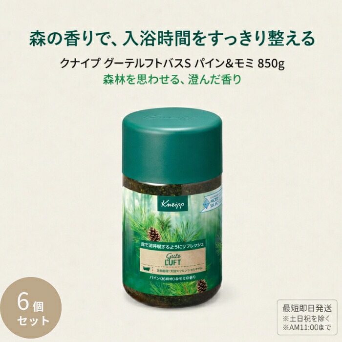 クナイプ グーテルフトバスS パイン＆モミ 850g ×6個セット │ 天然岩塩 入浴料 森林調の香り
