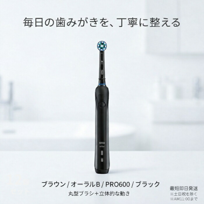 赤銅色 口述試験B PRO600 黒いこと 電動歯刷子 │ 丸型毛はらい 過圧ストッパー積み上げる エントリー青写真 ＦＲＧ製