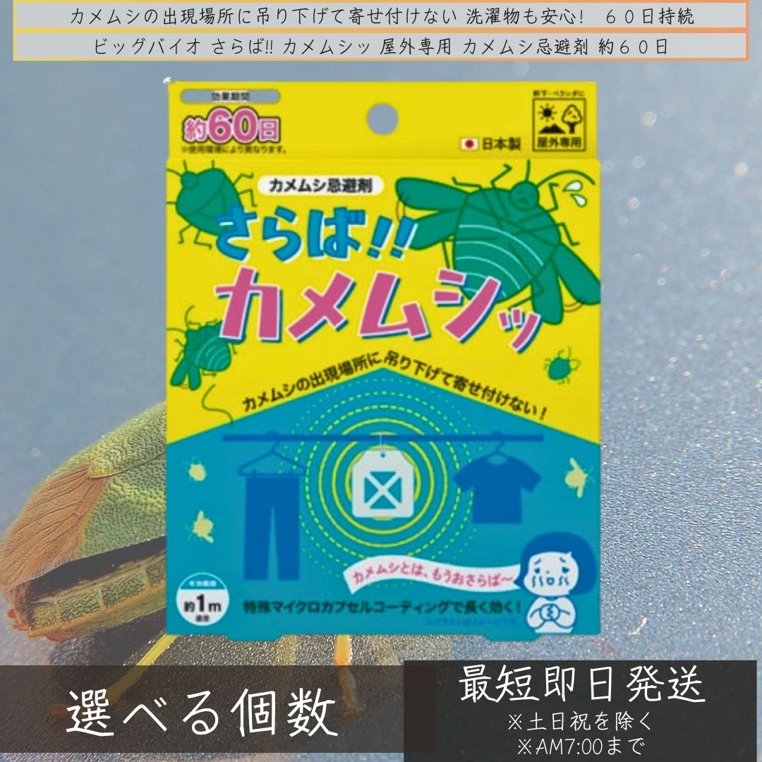 ビッグバイオ屋外専用 カメムシ忌避剤 約60日 │ 寄せ付けない カメムシ対策 カメムシ除去剤 吊り下げる 長く効く 長持ち 効き目 虫よけ ベランダ 玄関 窓 物干し竿 軒下 退治 【ギフト対応】 【ソーシャルギフト対応】 プレゼント|健康雑貨のお店「blue horizon」