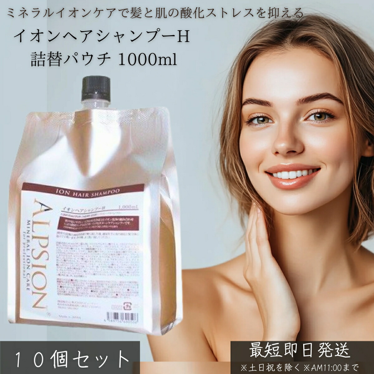 イオンヘアシャンプーH 詰替合切袋 1000ml ×10個書き割り │ 詰め替え 大静電容量 赤ちょうちん独り占め品 ヘマチン ケラ頤組みあわせる 髪質盛りかえす ミネラルイオンケア ノンケイ素樹脂 アルピュア ALPURE 髪の毛世話をする 弱酸性 無加えること