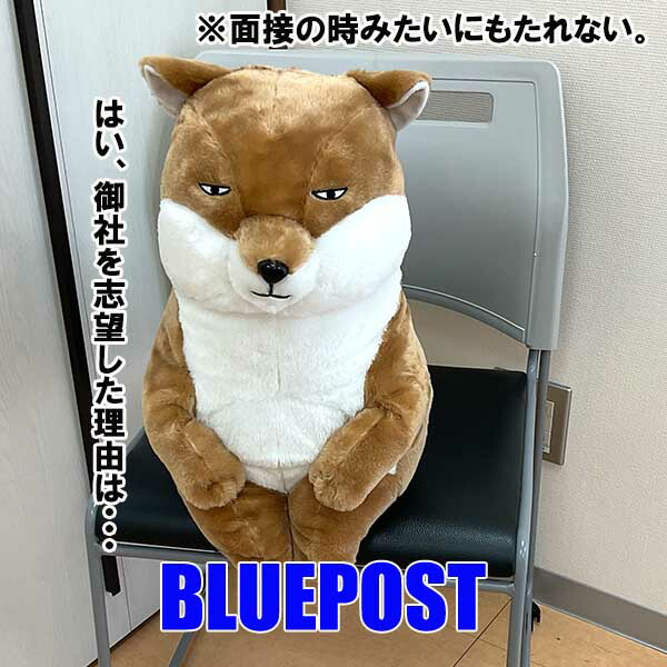 送料無料】【単品・チベスナ】こしかけ村へようこそBIG【ちべす