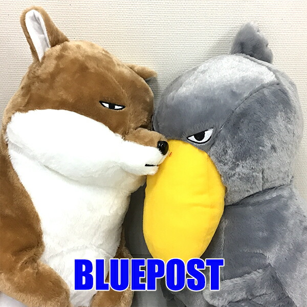 2種セット】こしかけ村へようこそBIG【チベスナ＆ビロコー】（約