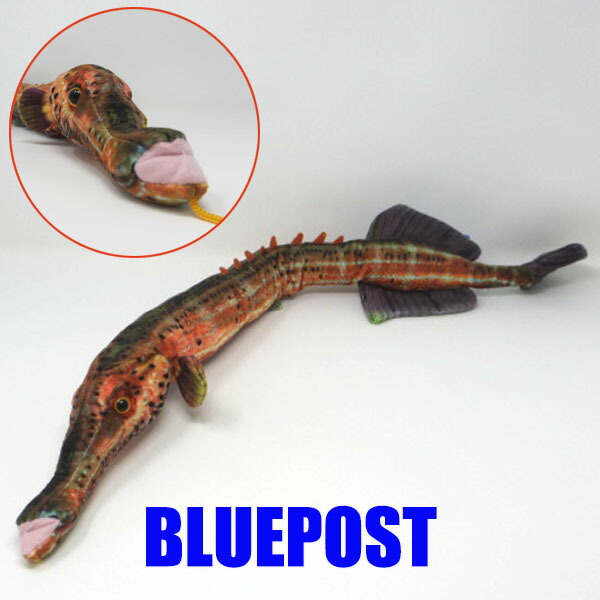 楽天市場】＼在庫限りのセール／［TST］[SK006]おさかな