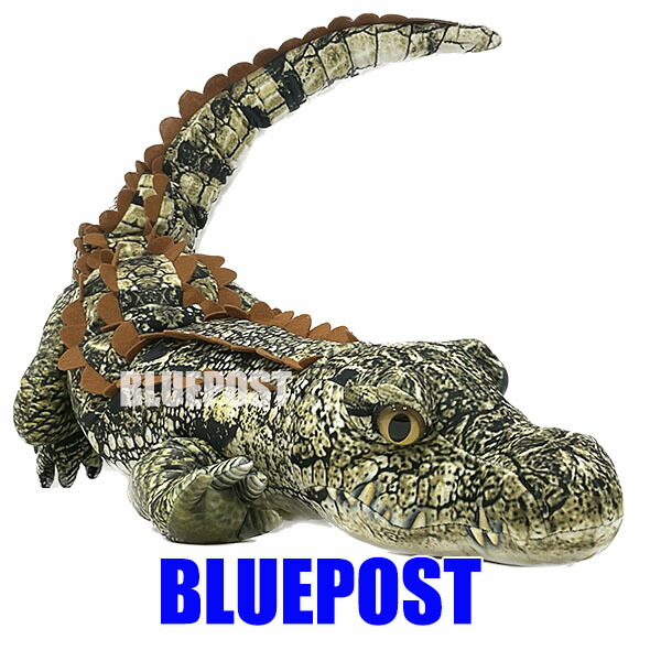 ワニ Top to Tail ペーパーモデルキット ワニ(ワニ)：キッズ