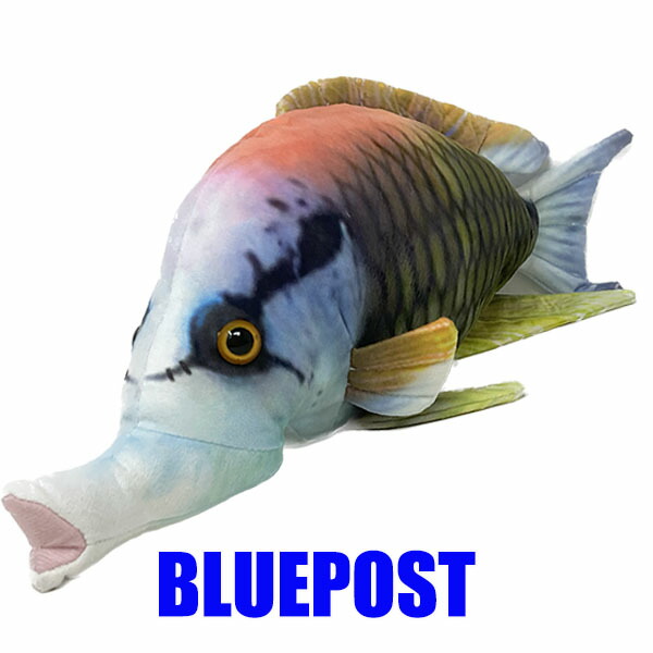 さかなさん 専用 さかなさん 専用 さかなさん専用 ZX太刀魚 | 株式会社ベイシック