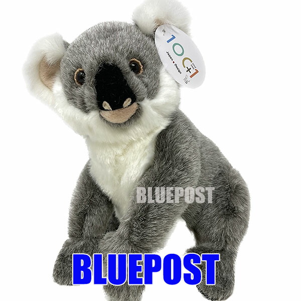 楽天市場】ケーセン ぬいぐるみ Kosen コアラ (小) 16cm Koala small