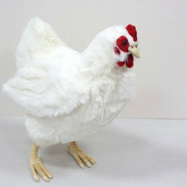 hansa chicken