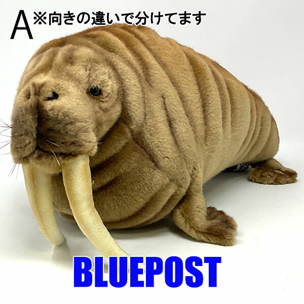 楽天市場】【770703e】 NATIONAL GEOGRAPHIC ナショナルジオ