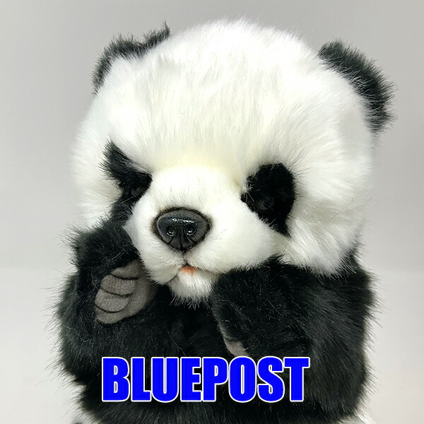 楽天市場】ウェーブボア パンダ ハンドパペット takeoff 【送料無料