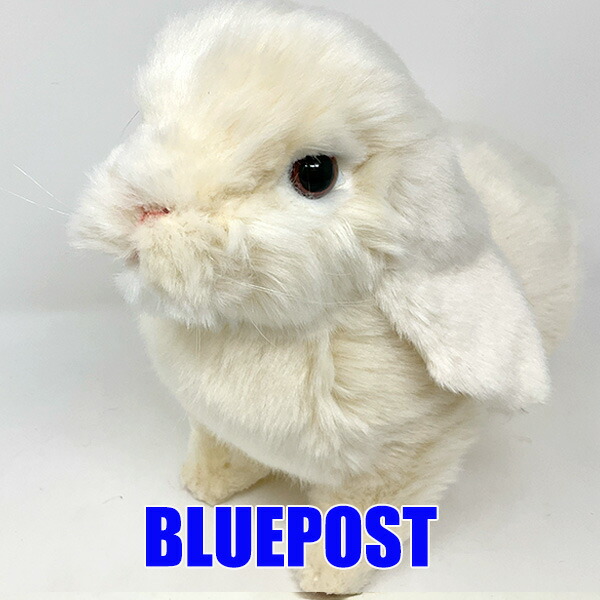 楽天市場】ウサギ 置物 リアルな うさぎのぬいぐるみ ロップイヤー