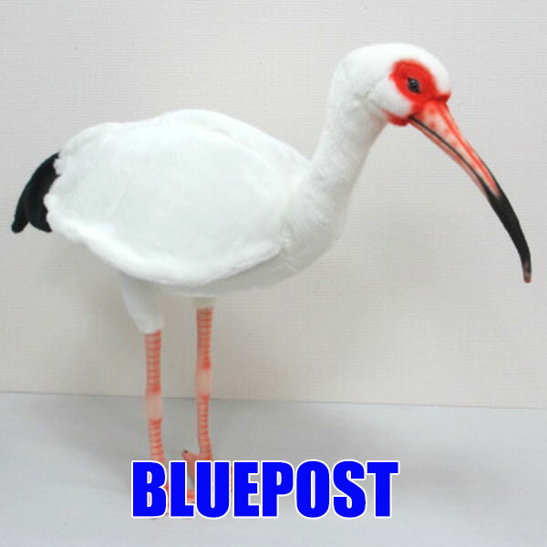 【貨物輸送無料】［ハンサ］［BH8192］シロトキ 54WHITE IBIS※店卸し資産境界線※※沖縄・外国で・離島は送りとどける不可
