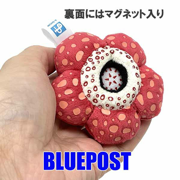 楽天市場】【送料無料】食虫植物雑貨 ラフレシア クッション[植物コレクション]※沖縄・離島・海外へは発送不可 : ＢＬＵＥ ＰＯＳＴ