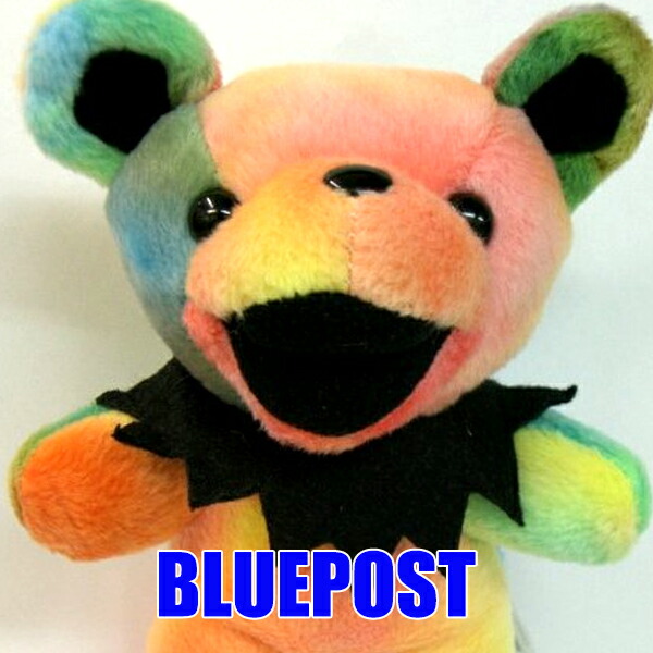 楽天市場】ビバリーホワイトのテディベア2019年発売「バスターD