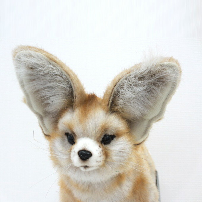 hansa fennec fox