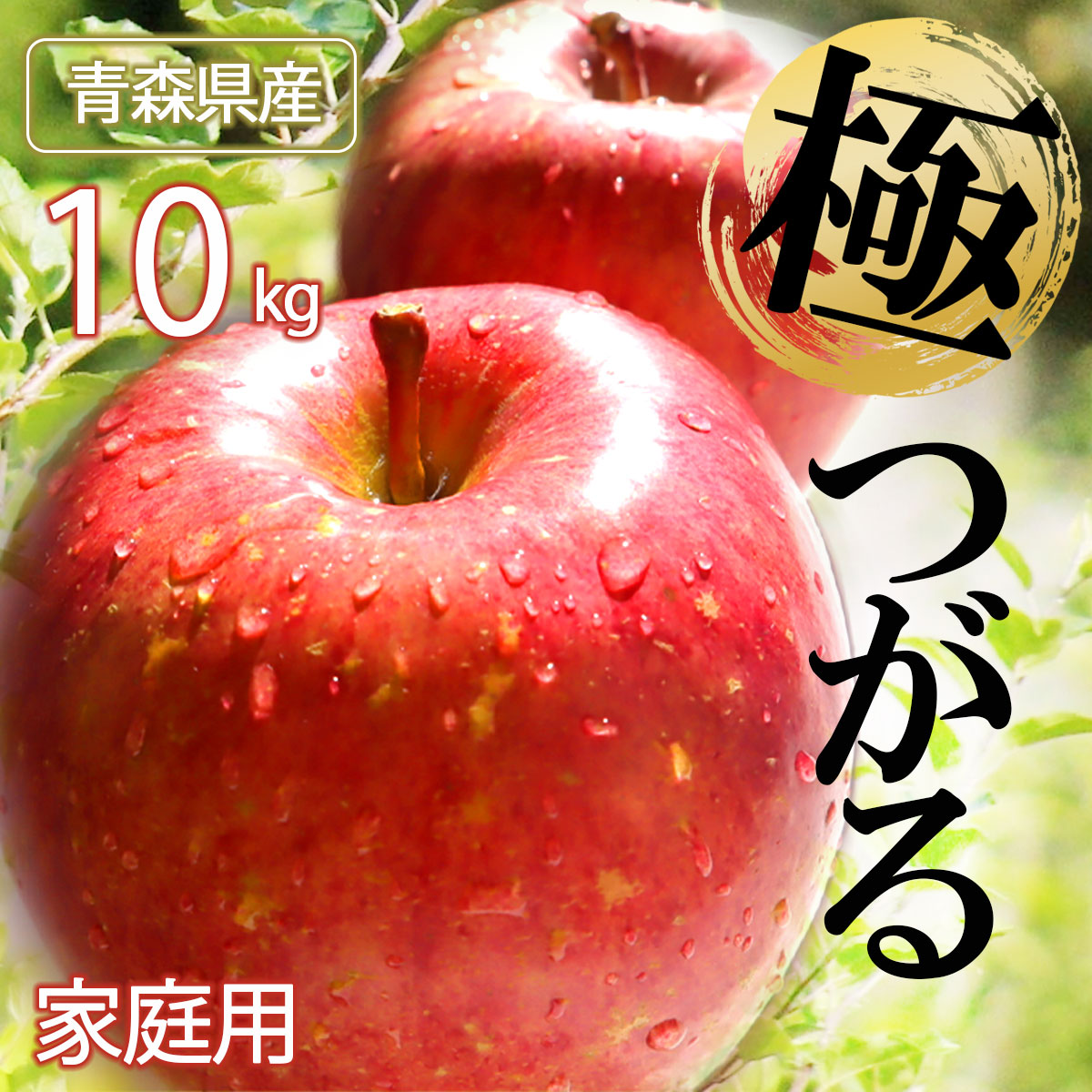 市場 先行予約 ringo 送料無料 2022年産 林檎 りんご 数量限定 リンゴ 9月上旬発送 青森県産りんご ご家庭用