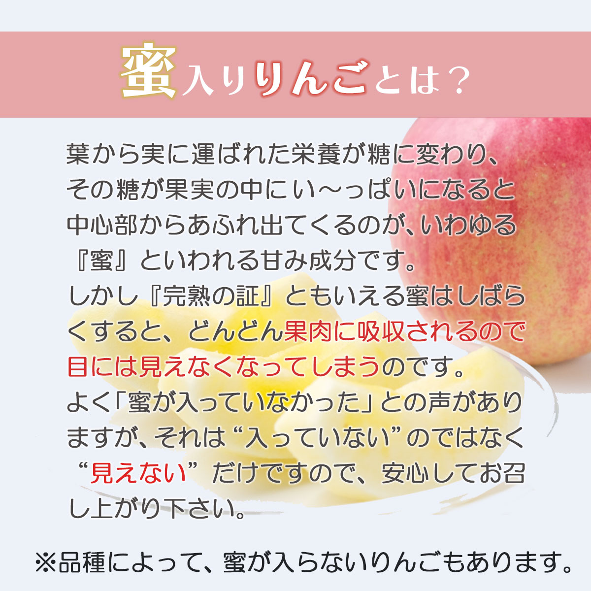 市場 先行予約 贈答用 送料無料 2022年産 青森県産りんご 林檎 数量限定 りんご リンゴ 9月上旬発送 ringo 秀品