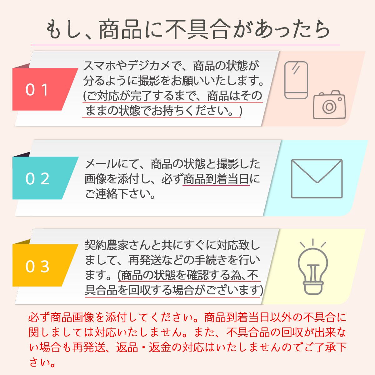 市場 ポイント2倍 クーポン配布中 にんにく ニンニク 青森県産 青森にんにく ８月中旬順次発送 予約販売 国産