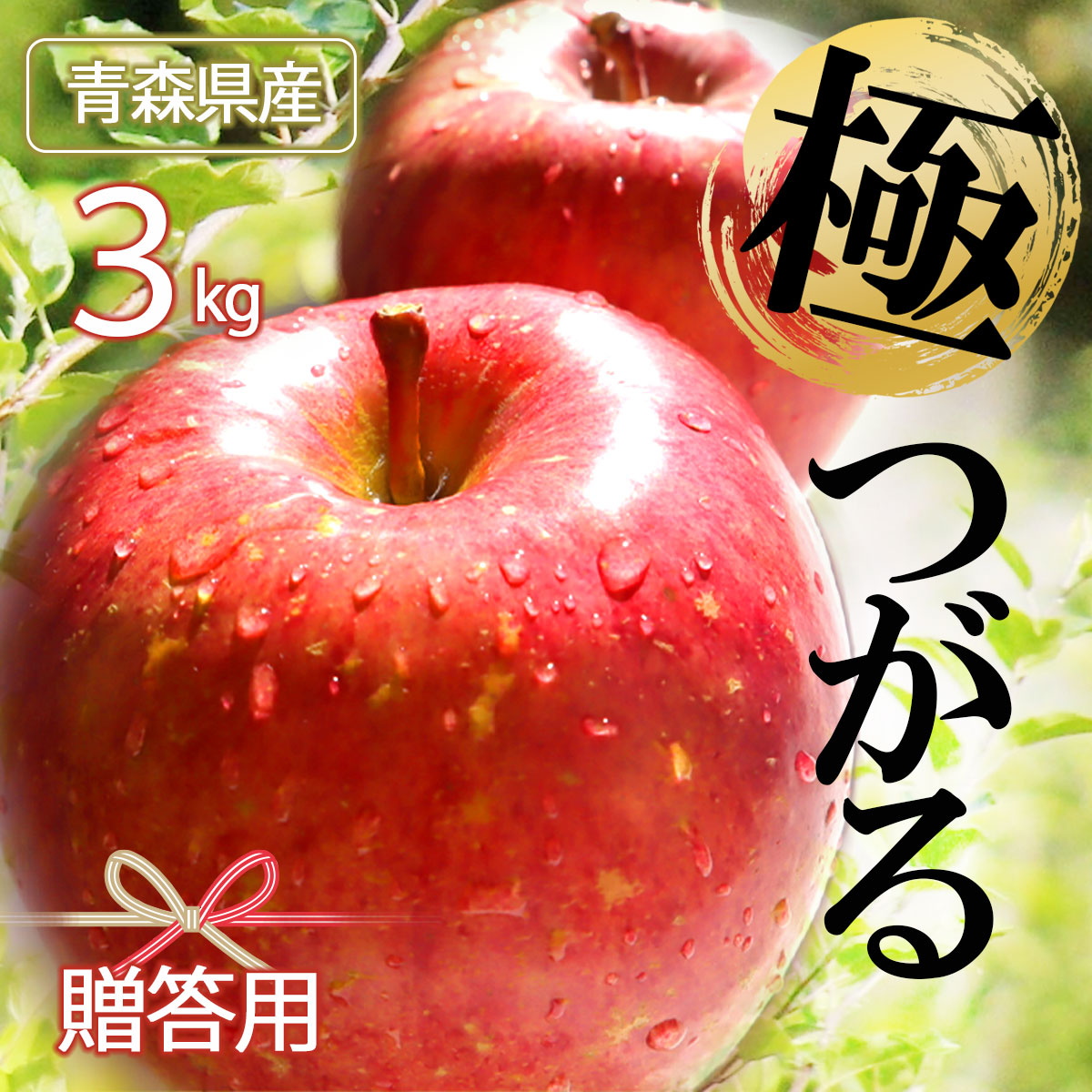 市場 先行予約 りんご リンゴ 数量限定 贈答用 送料無料 青森県産りんご 2022年産 ringo 9月上旬発送 林檎 秀品